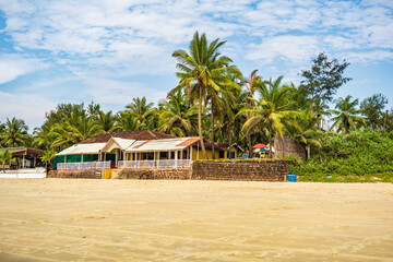 Wall Mural - coconut trees on ocean coast near tropical shack or open cafe on beach with sunbeds