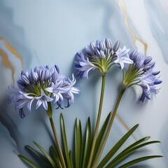 Ethereal Bloom: Pale Purple Allium Flowers on Blue and Gold Marble Background