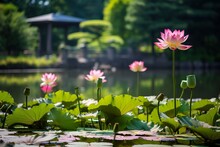Water lilies in a lotus pond with a pagoda behind. Zen and scenic nature view with green trees in a Japanese garden.