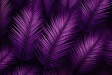  A Close Up Of A Purple Wallpaper With A Pattern Of Palm Leaves On The Left Side Of The Image And A Black Background On The Right Side Of The Image.