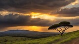 Fototapeta Sawanna - Dramatic Sunset Over Green Valley with Silhouetted Lone Tree
