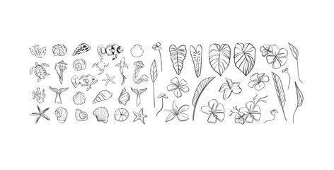 Sticker - Hand drawn vector abstract simple minimalistic line art graphic drawing tropical palm leaves,flowers and fishes collection set isolated.Summer plant design concept.Tropical summer nature logo set.