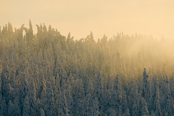 Wall Mural - Image from a Sunday hike to the Tjuvaasen Hill and Osthogda Hill, part of the Totenaasen Hills, Norway, in winter.