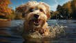 © djvstock - Cute puppy playing in water, wet fur, cheerful and playful generated by AI