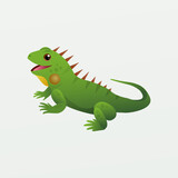 Fototapeta Dinusie - Cute green iguana cartoon vector