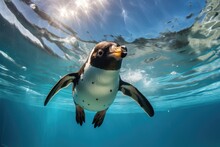 African Penguin Spheniscus Demersus Swimming Underwater, A Penguin Swimming In An Aquarium With A Blue Sky, AI Generated