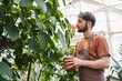 handsome and bearded gardener in linen apron holding potted plant in greenhouse, smelling orchid