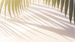 A beauteous abstract setting of sunderlighlit palm shadows on a snow-white shore creates an ideal banner for a summer beach getaway.