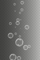 Wall Mural - Realistic soap vector bubbles png isolated on transparent background. The effect of falling and flying bubbles. Glass bubble effect.	
