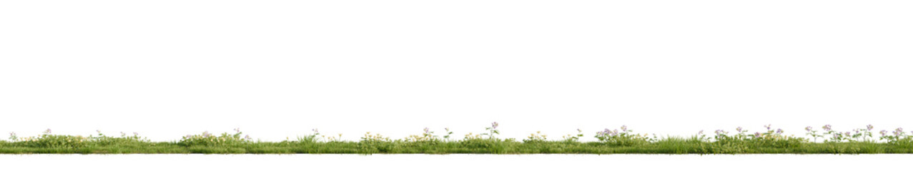 Sticker - Green grass isolated on transparent background. 3D render.	