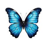 Fototapeta Motyle - Blue butterfly , isolated on transparent