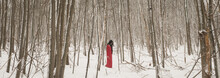 art portrait of woman in long red dress in white snow forest landscape