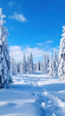 Wall Mural - panoramic view of a snowy landscape with snow-covered trees and a bright blue sky,