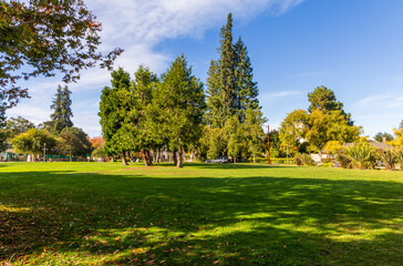 Wall Mural - Beautiful landscape with lawn and trees in the small neighborhood park in Palo Alto, California