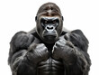 © Vig - Gorilla Studio Shot Isolated on Clear White Background, Generative AI