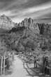 Trail in Zion National Park in Utah in Black and White