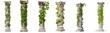 Collection of columns with plants on them on a white or transparent background generative ai