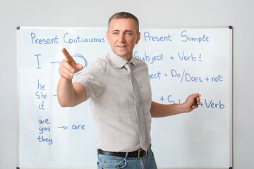 Sticker - Male teacher with pointer conducting English grammar lesson in classroom