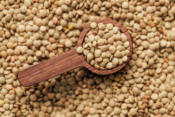 Sticker - Uncooked lentil legumes in wooden spoon. Top view.