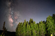 Milky Way in summer over a forest in the Utah mountains