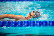 Swimmer girl swims freestyle swimming style in the pool
