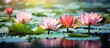 In Country, on a sunny day in Ontario, people marvel at the natural beauty of a pond, where vibrant lotus flowers bloom, their colors reflecting in the water, capturing the world's attention through