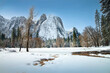 Snowy meadow In Yosemite National Park After Storm