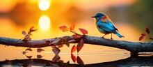 In The Picturesque Park, The Silhouette Of A Cute And Colorful Bird Perched On A Green Branch, Its Vibrant Feather Glistening Under The Blue Sky, Creating A Beautiful Contrast In Nature's Color