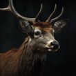 Portrait of a majestic Deer