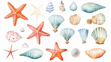 Watercolor Isolated Object Sea Shells Starfish