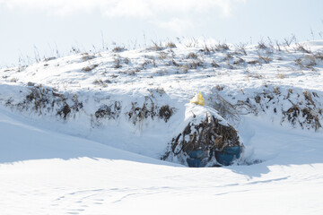 Garbage bags and old landfill on an eroding winter beach