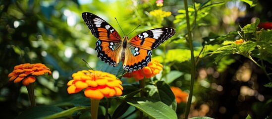 Sticker - In the vibrant garden, a beautiful butterfly with colorful wings gracefully floats above a variety of flower petals and lush green leaves, embracing the natural beauty of the orange and green colors