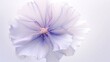 light purple flower transparent Ai Generative