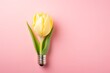 A yellow tulip growing out of a light bulb on a pink background is a surreal and whimsical image that evokes feelings of spring, hope, and new beginnings.
