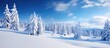 In the stunning winter landscape of Europe, a traveler found solace in a serene forest covered with snow, where tall trees stood tall and proud, forming a breathtaking white panorama. As a new year