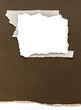 Paper different shapes scraps isolated on brown background White Ripped Piece of Paper isolated. Top View of Blank Adhesive Paper Tag. Blank Note with Copy Space for Text or Image. 
