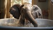  an elephant taking a bath in a bathtub with water coming out of it's trunk and it's trunk sticking out of it's trunk to the side.