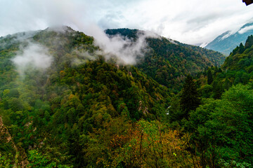  Foggy mountains in autumn. Aerial view of mountain slopes with yellow orange autumn trees in fog. Beautiful landscape with hills and misty forest.