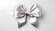 © Moon Project - Silver Christmas gift ribbon. Plain white background.