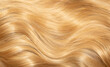 © Vera - Blond hair close-up as a background. Women's long blonde hair. Beautifully styled wavy shiny curls. Hair coloring. Hairdressing procedures, extension.