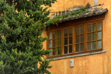 Canvas Print - Fenêtre moussue à Fontaine-de-Vaucluse, Vaucluse, France