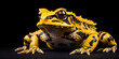Argentine horned frog. Ornate toad, An Orange And Black Frog On A Moss Covered Log Background  Generative Ai