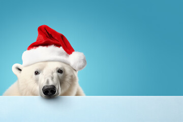 Wall Mural - White polar bear in Santa Claus hat isolated on light blue background. New Year or Christmas concept. Banner with a white polar bear and copy space.