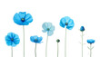 © Papugrat - blue flowers isolated on transparent background cutout
