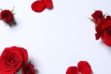 Wall Mural - Beautiful red roses and petals on white background, flat lay. Space for text