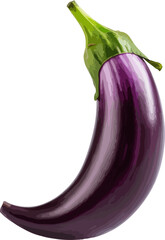 Wall Mural - Eggplant clip art