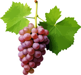 Wall Mural - Grapes with leaves clip art