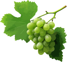 Wall Mural - Grapes with leaves clip art