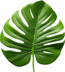 Wall Mural - Green jungle leaf clip art