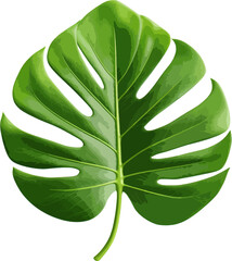 Wall Mural - Green jungle leaf clip art